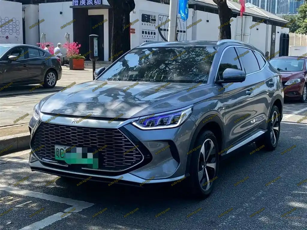 BYD PLUS New Energy 2021