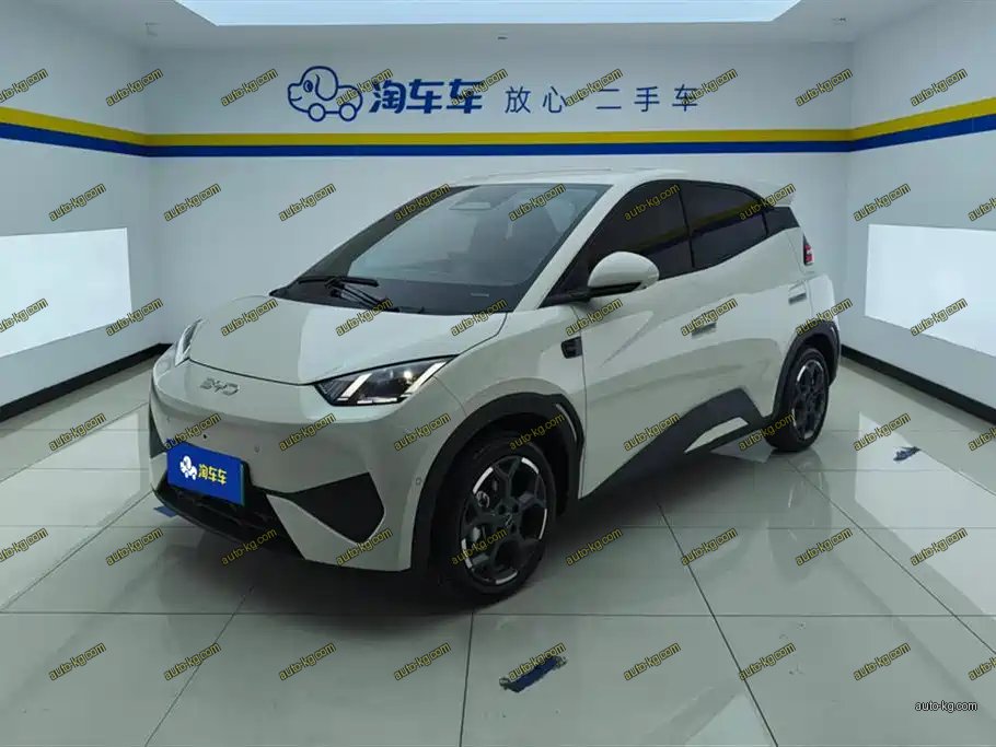 BYD Seagull 2026