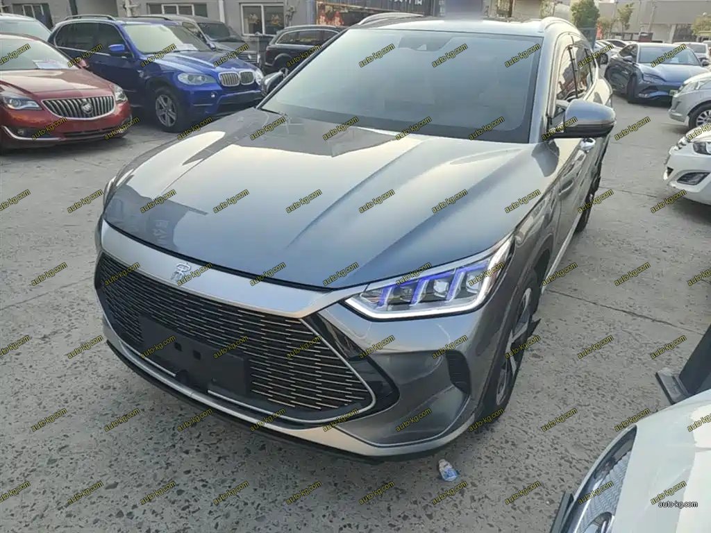 BYD PLUS New Energy 2022