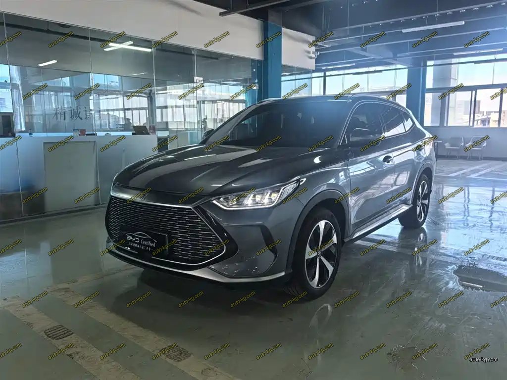 BYD PLUS New Energy 2021