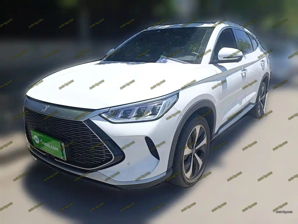 BYD PLUS New Energy 2022