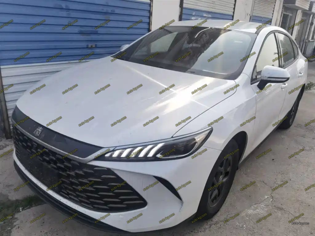 BYD Qin PLUS 2026