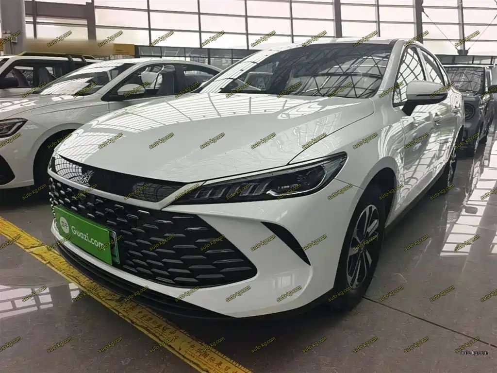 BYD Qin PLUS 2026
