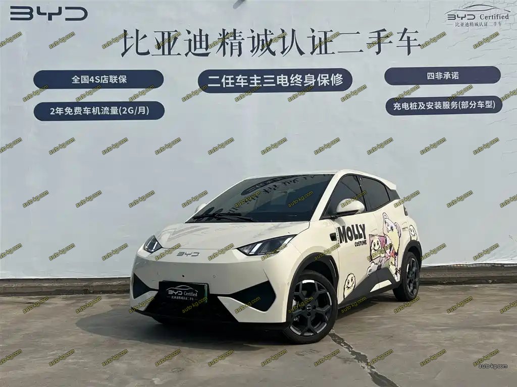 BYD Seagull 2025