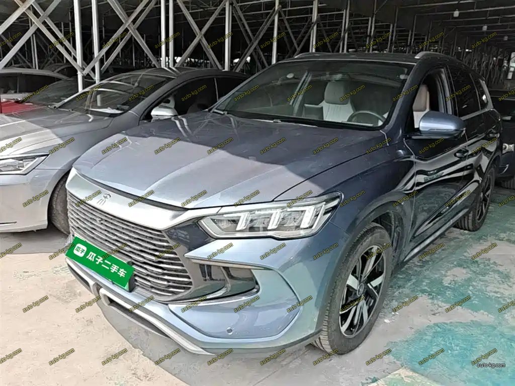 BYD Pro New Energy 2024