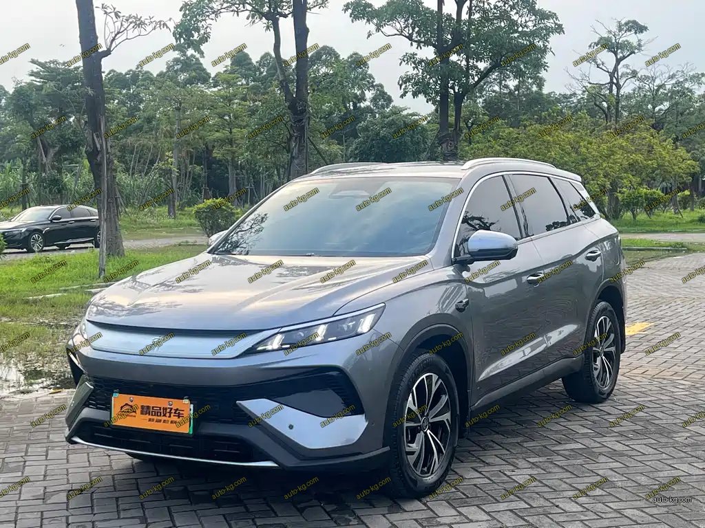 BYD Pro New Energy 2025