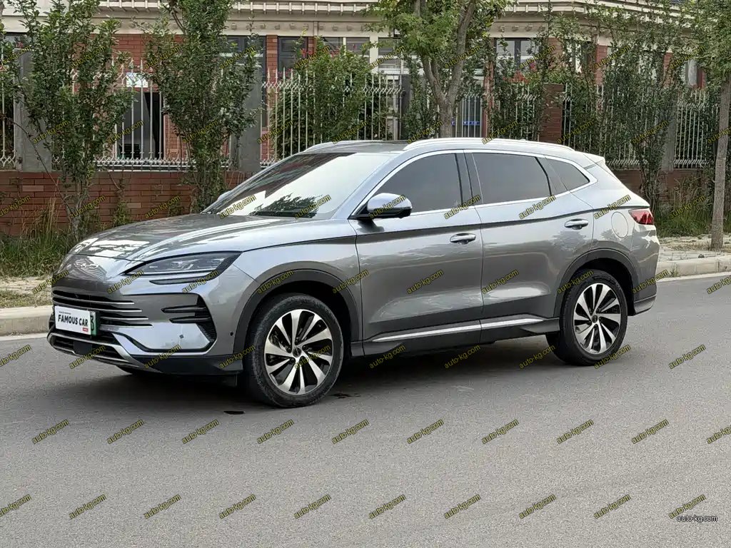 BYD PLUS New Energy 2024