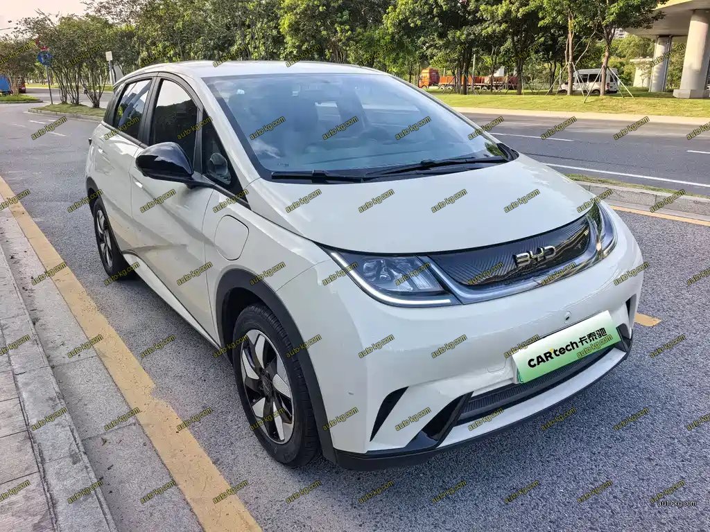 BYD Dolphin 2024