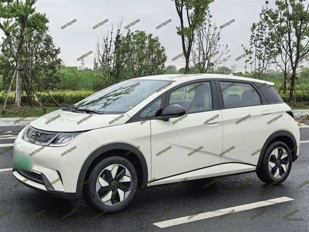 BYD Dolphin 2026