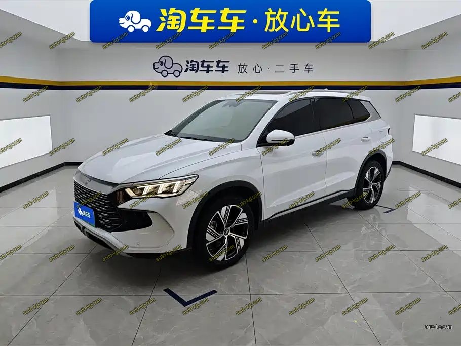 BYD Pro New Energy 2024