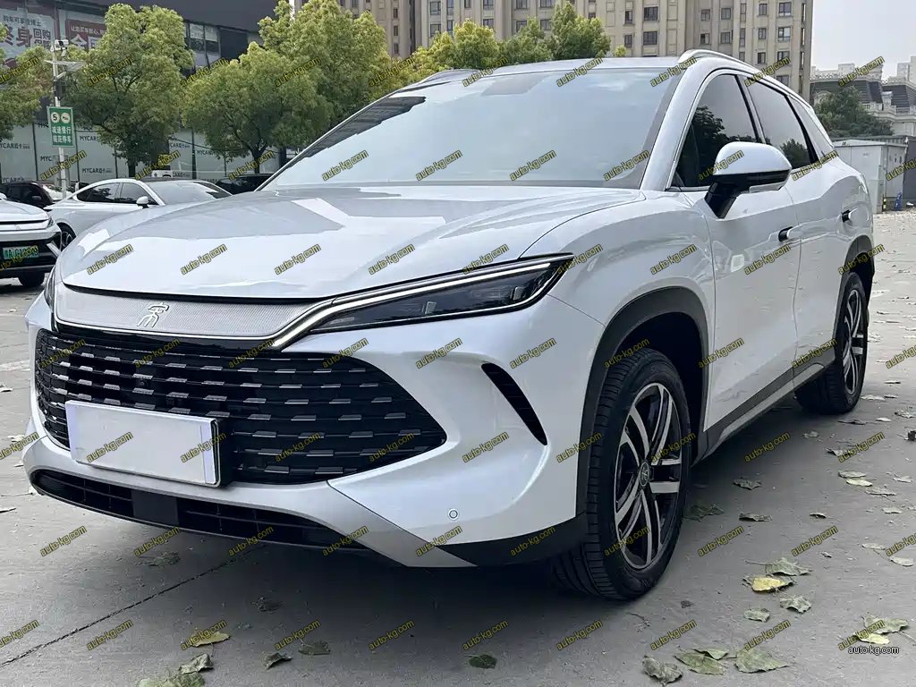 BYD L DM-i 2025