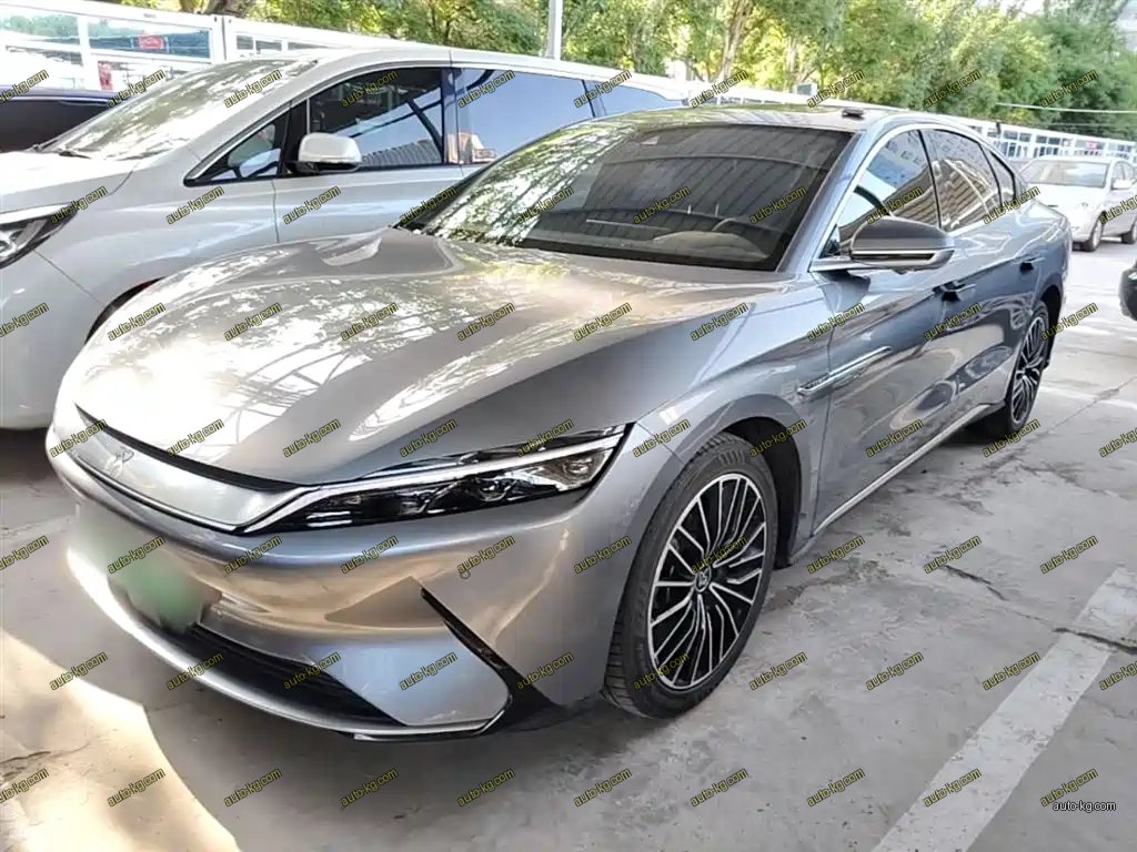BYD Han 2022