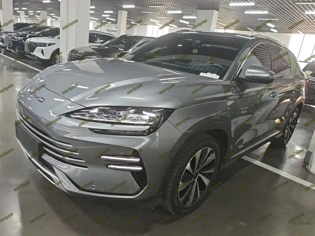 BYD PLUS New Energy 2024