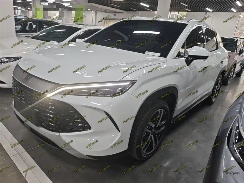 BYD L DM-i 2025