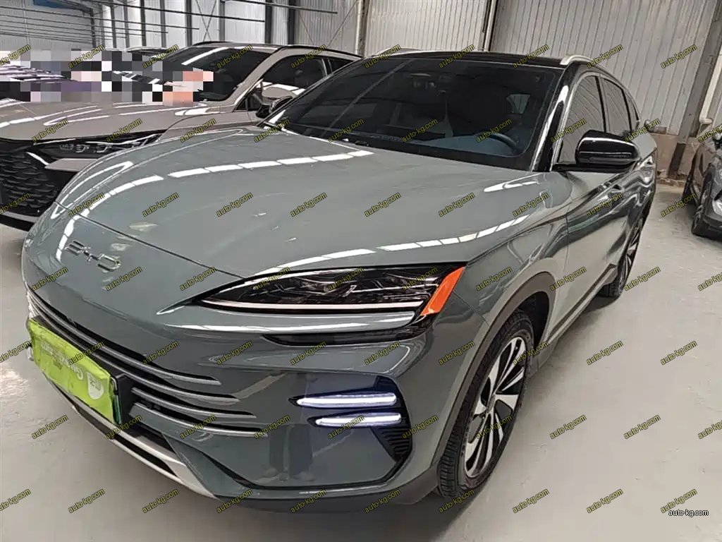 BYD PLUS New Energy 2024