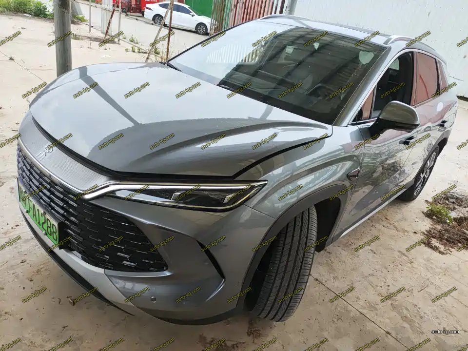 BYD L DM-i 2025