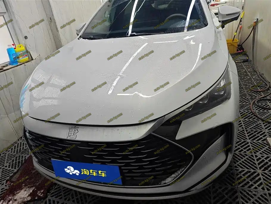 BYD Tang New Energy 2025