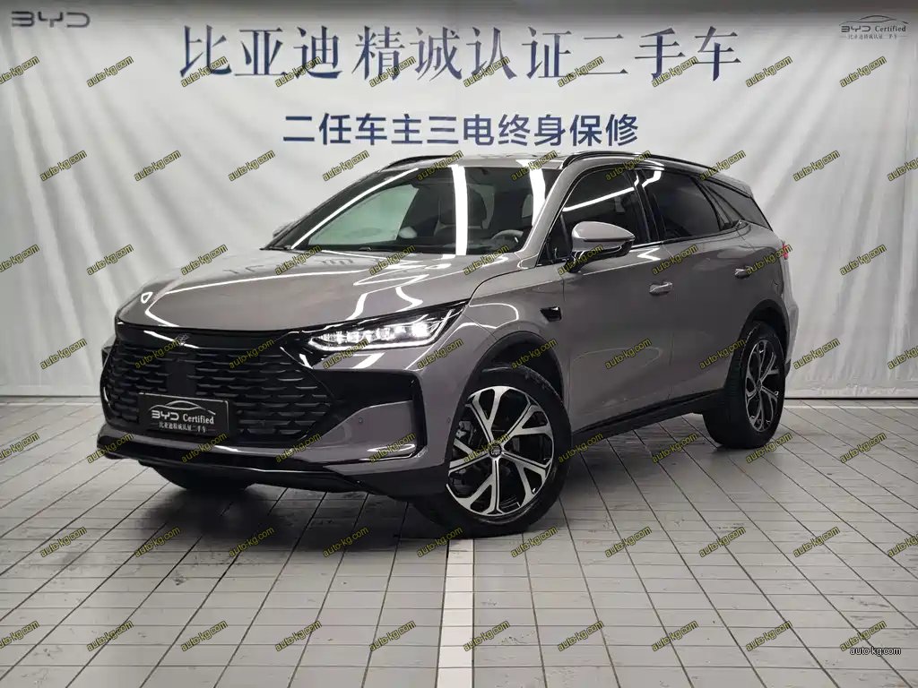 BYD Tang New Energy 2025