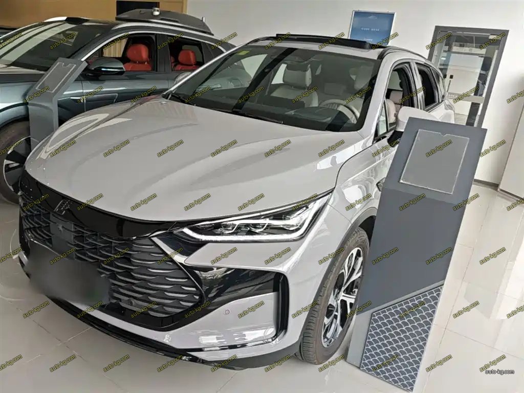 BYD Tang New Energy 2025