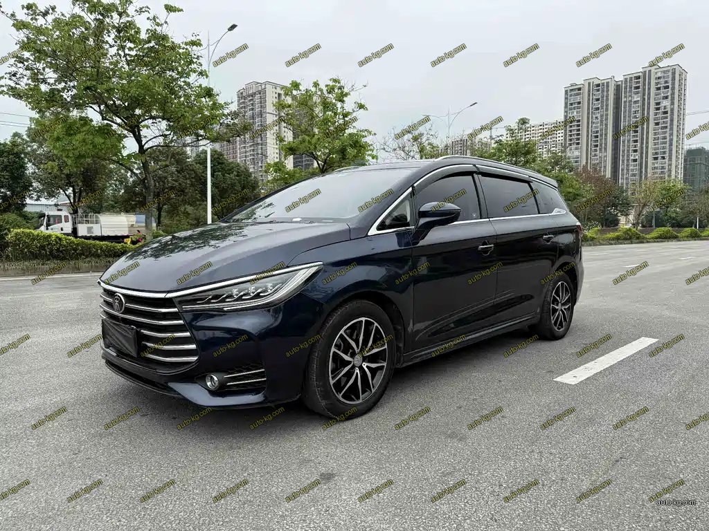 BYD MAX 2018