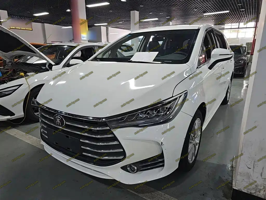 BYD MAX 2020
