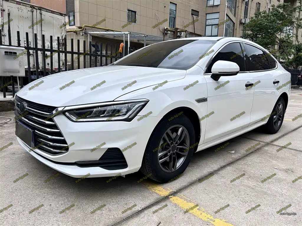 BYD Qin Pro 2020