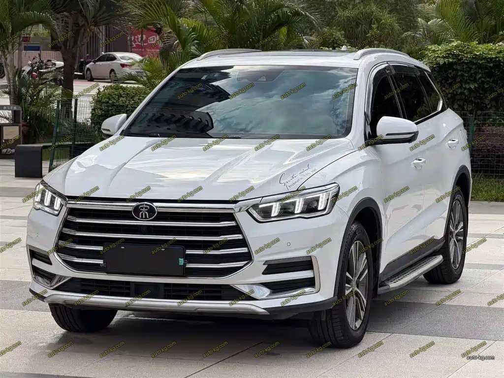 BYD Pro 2019