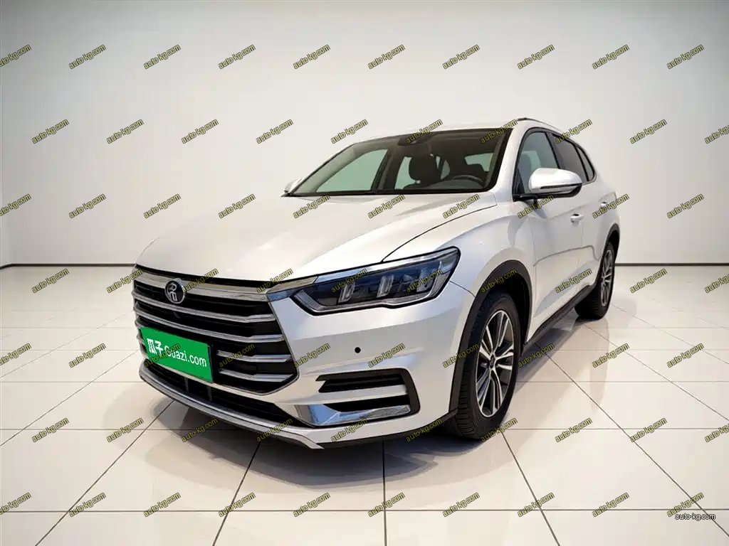 BYD Pro 2020
