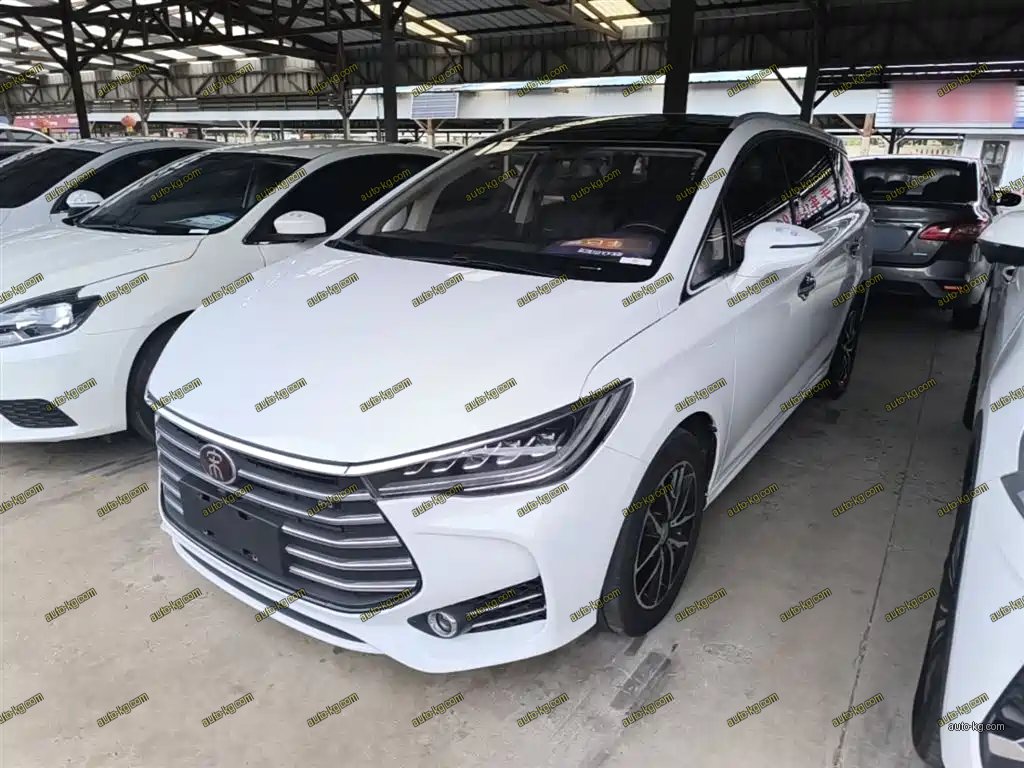 BYD MAX 2018
