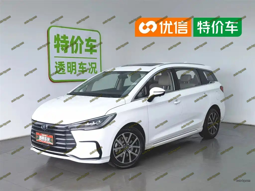 BYD MAX New Energy 2022