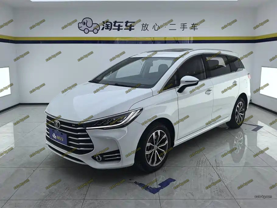 BYD MAX 2019