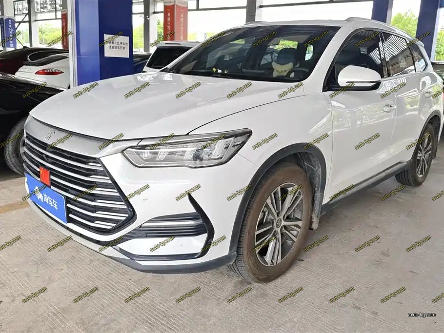 BYD Pro 2021