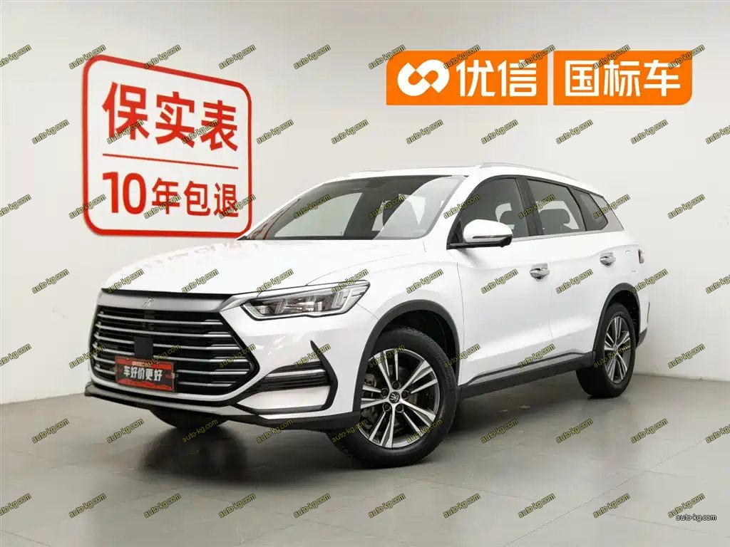 BYD Pro 2021