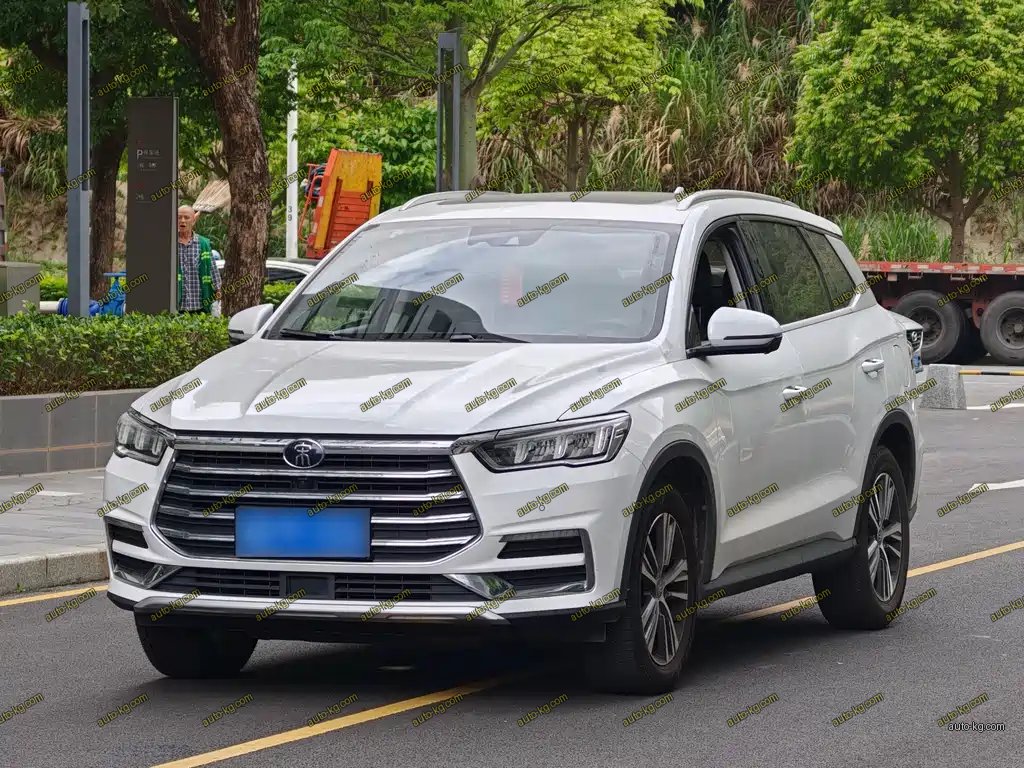 BYD Pro 2020