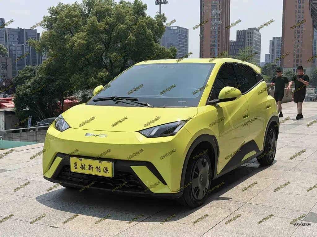 BYD Seagull 2023