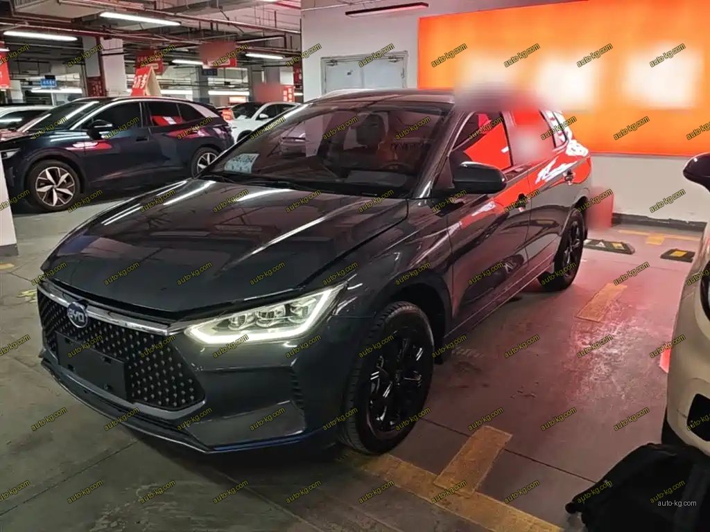 BYD e2 2021