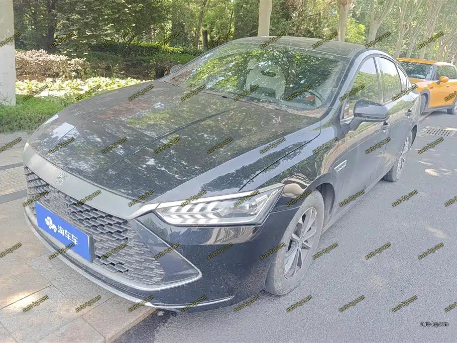 BYD Qin PLUS 2024
