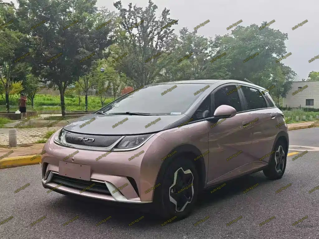 BYD Dolphin 2022