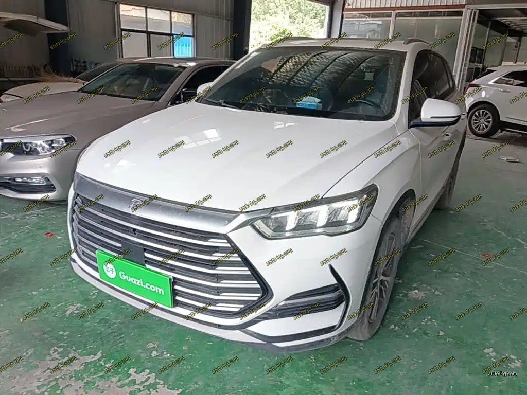 BYD Pro 2021
