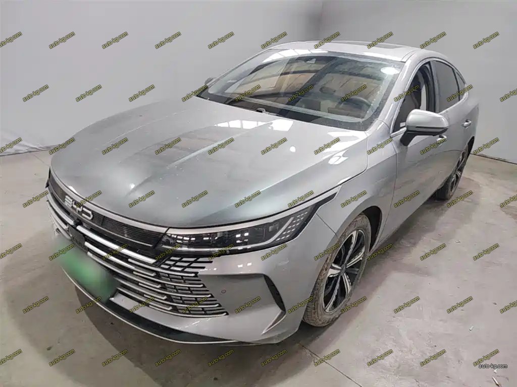BYD Destroyer 05 2022
