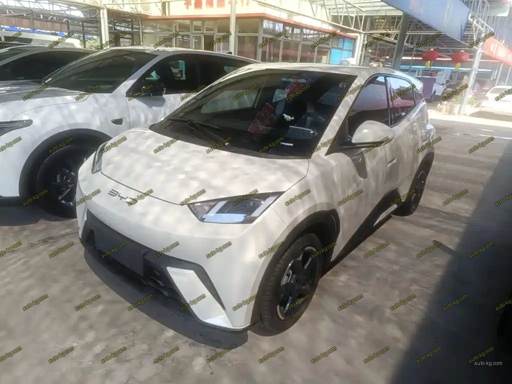 BYD Seagull 2023