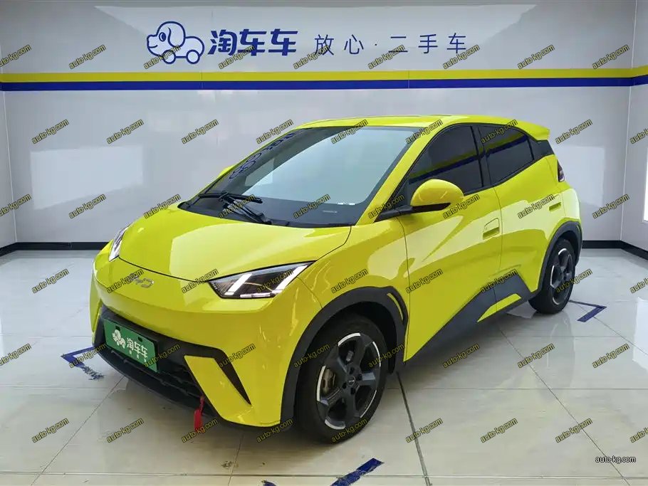 BYD Seagull 2024