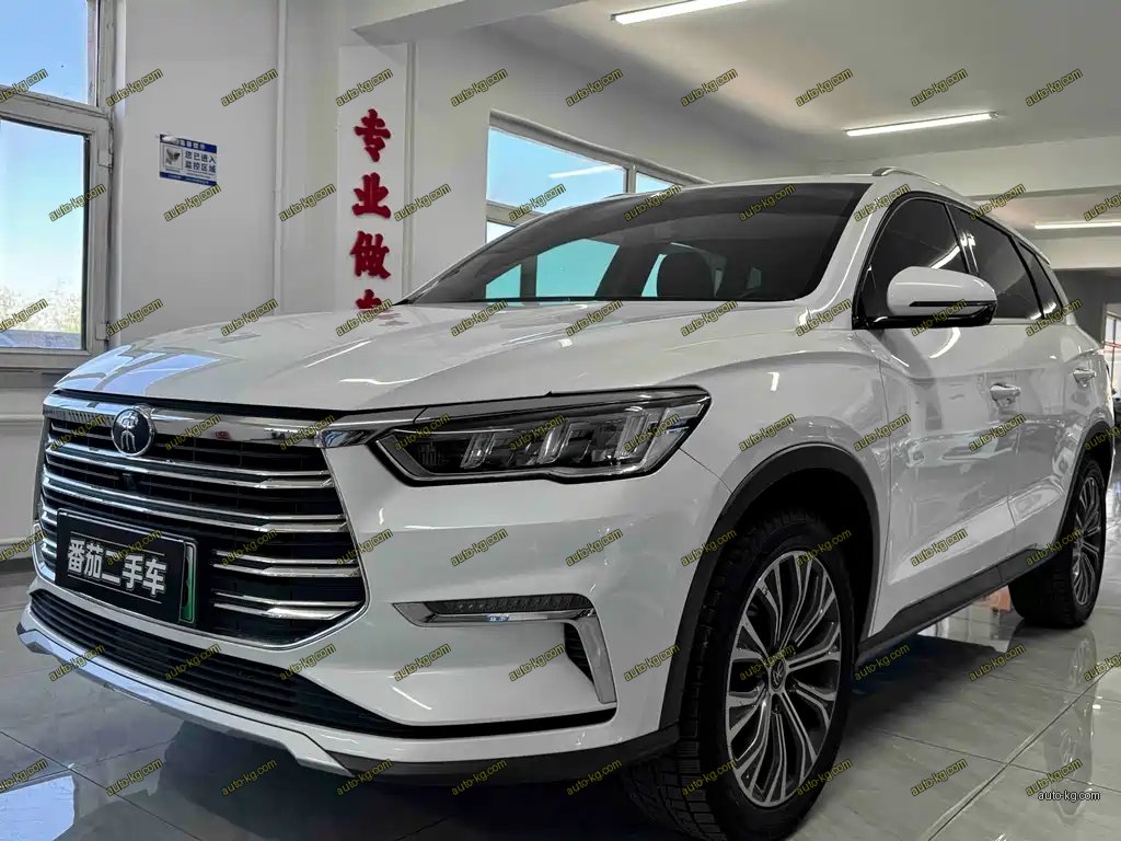 BYD Pro New Energy 2019