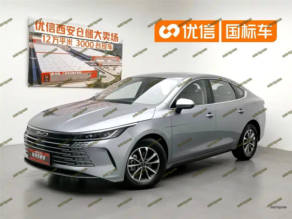 BYD Destroyer 05 2024