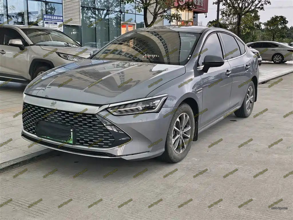 BYD Qin PLUS 2024