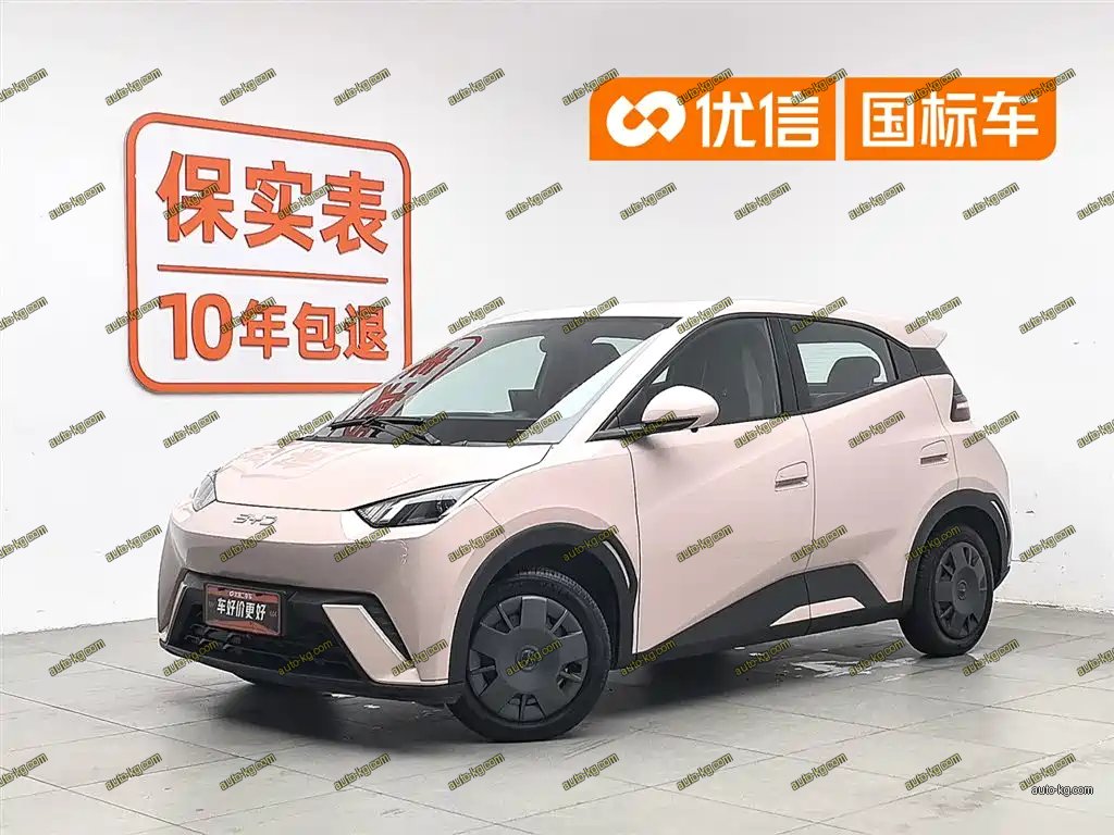 BYD Seagull 2024