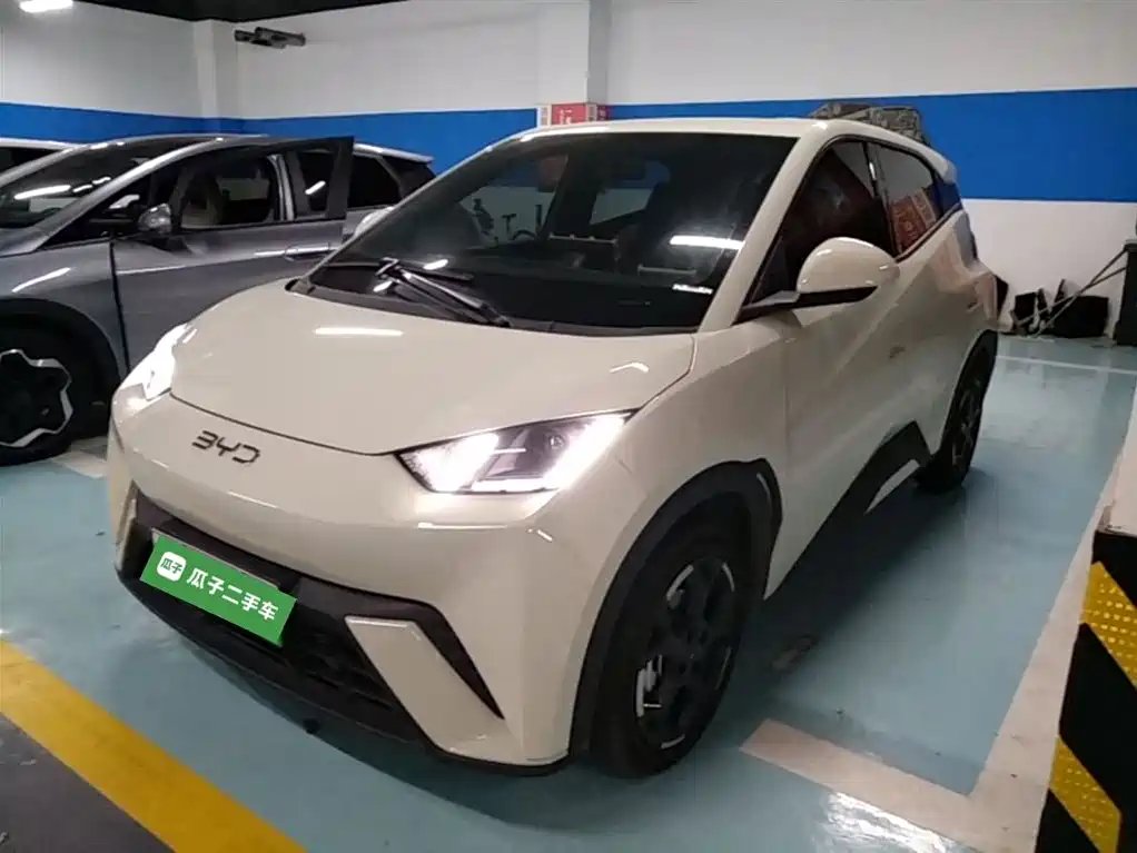 BYD Seagull 2024