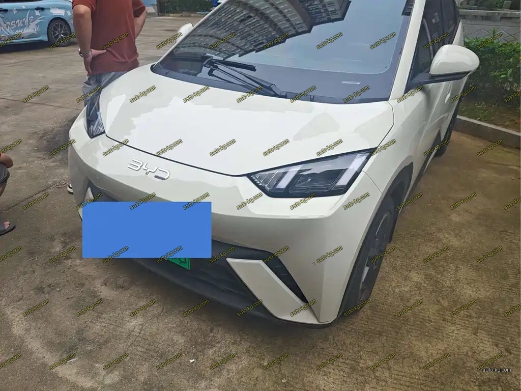BYD Seagull 2024