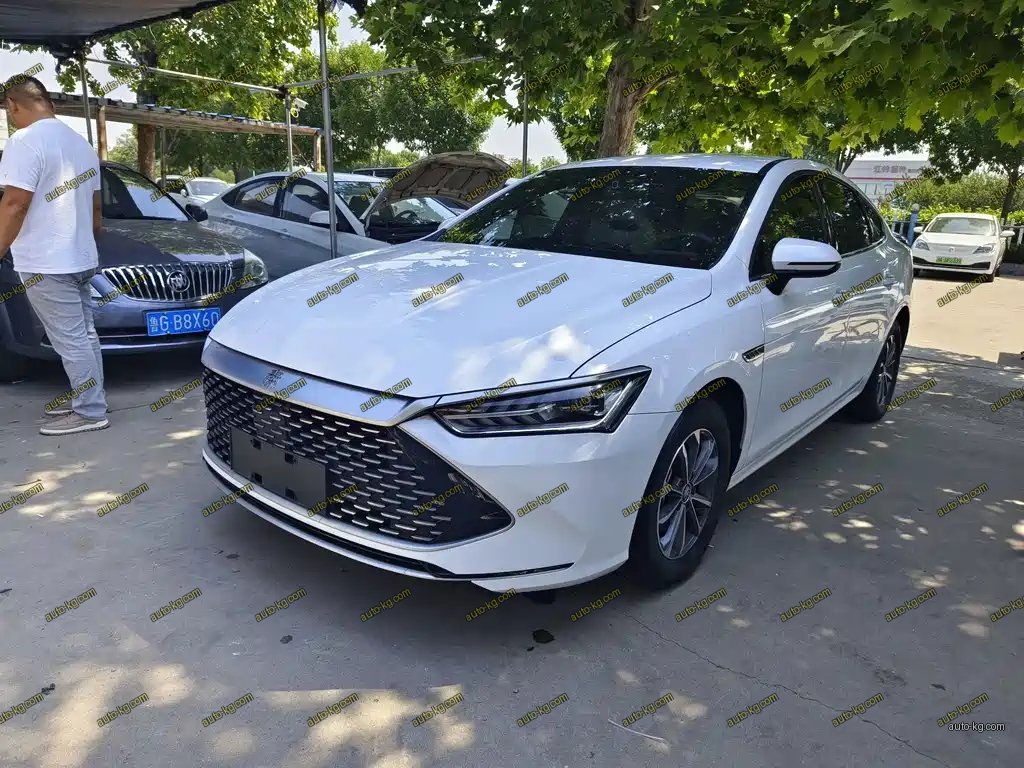 BYD Qin PLUS 2024