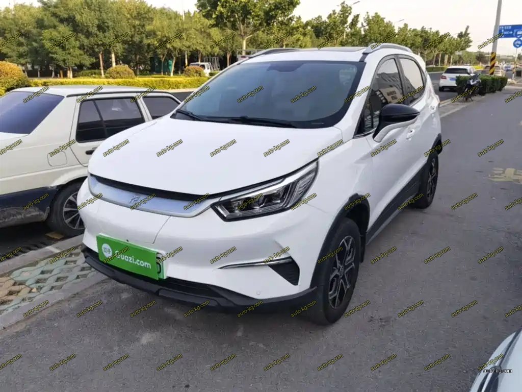 BYD Yuan Pro 2021